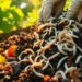 maggots in compost bin